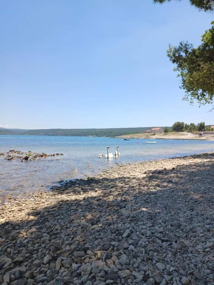 Apartmani Tanja Pridraga Bagian luar foto