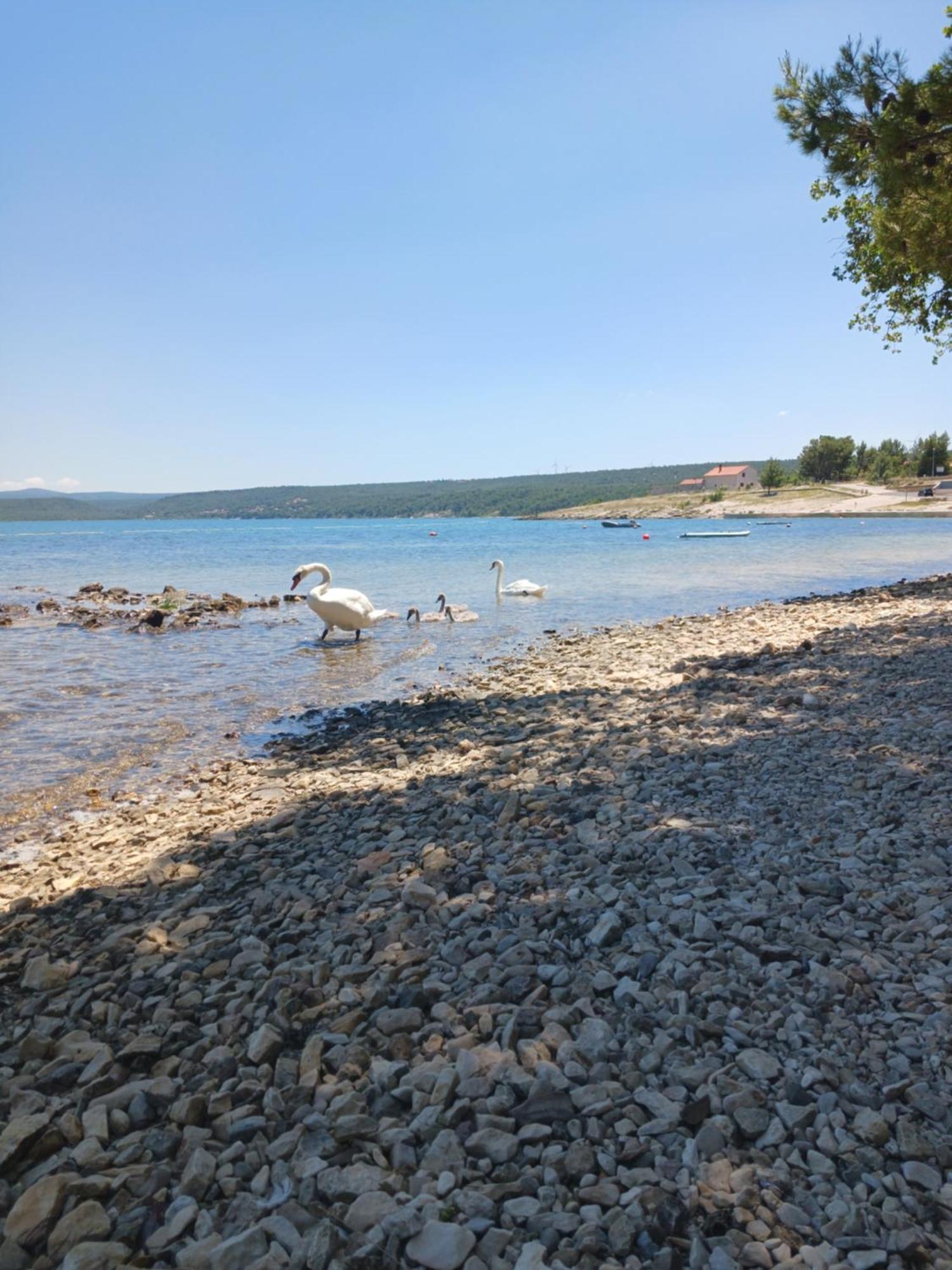 Apartmani Tanja Pridraga Bagian luar foto